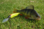 Leurre Minnow – 110 mm – 16,4 g coloris au choix