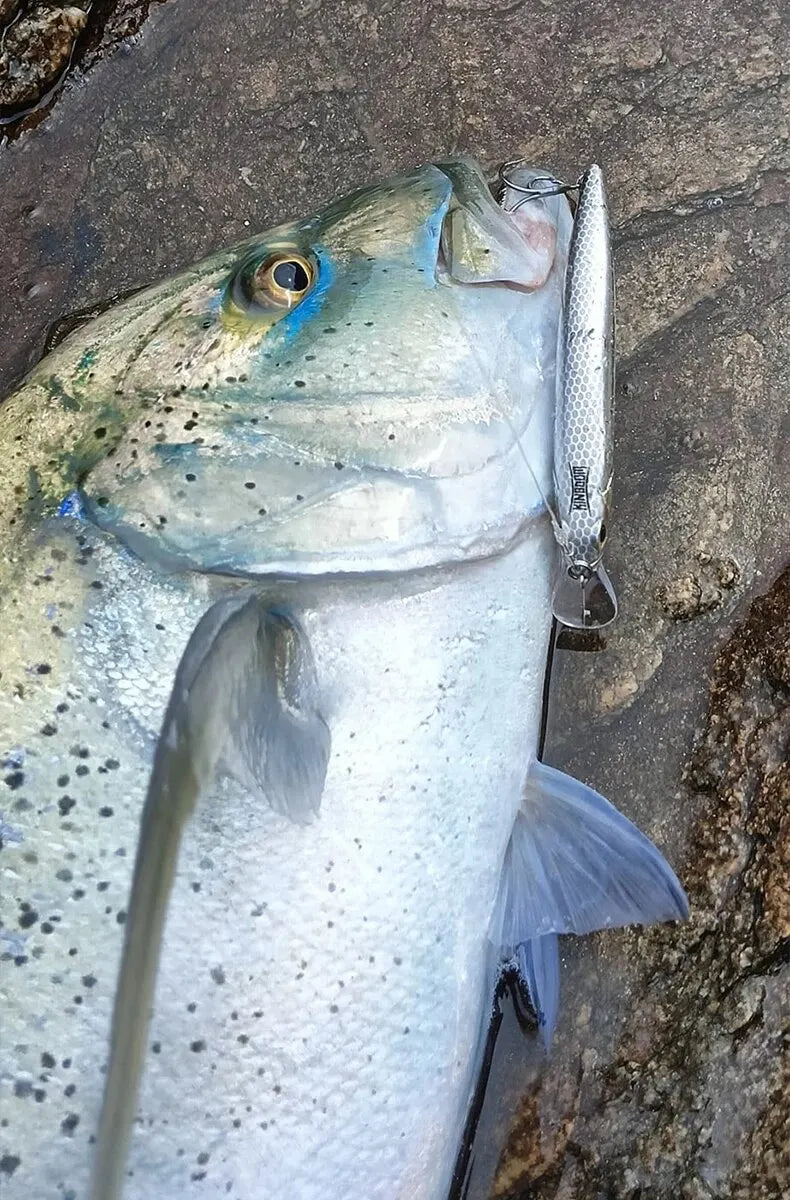 Leurre KINGDOM Minnow Coulant – Jerkbait Vibrant 60 à 105 mm