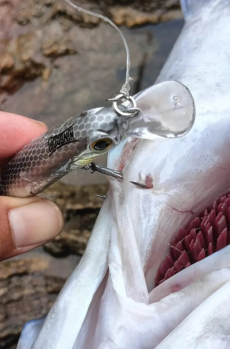 Leurre KINGDOM Minnow Coulant – Jerkbait Vibrant 60 à 105 mm