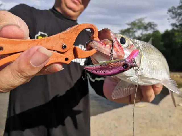 Leurre minnow KINGDOM Vibrate – 45 mm (3.6 g) & 60 mm (7 g) coulant, nage serrée réaliste