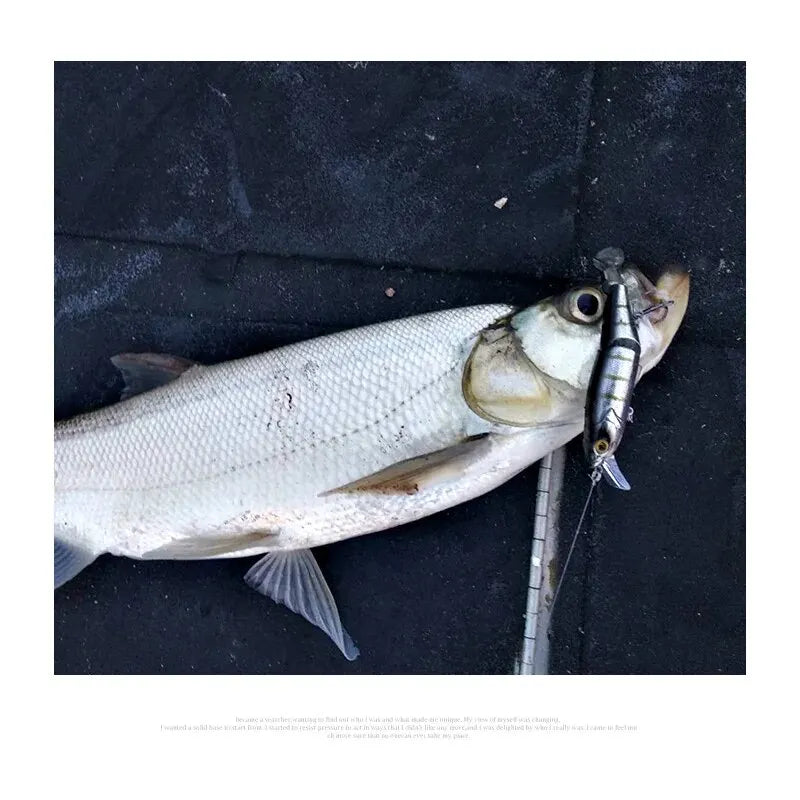 Leurre multi-jointé KINGDOM 120 mm – 17.5 g flottant, swimbait articulé avec T-tail souple
