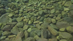 Leurre Minnow – 110 mm – 16,4 g coloris au choix